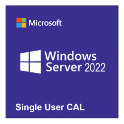 Windows Server 2022 - 1...